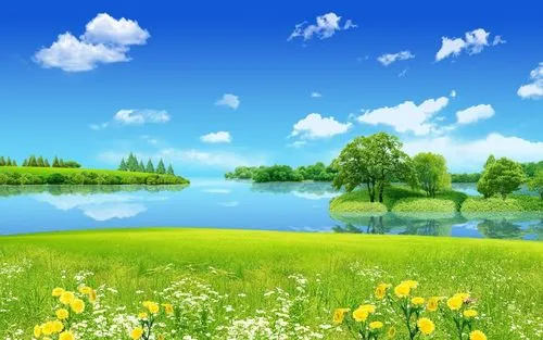 节能智能化全自动